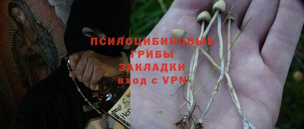 бутират Алзамай